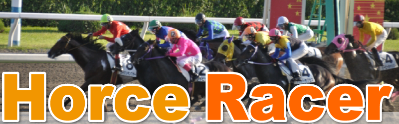 Horse Racer